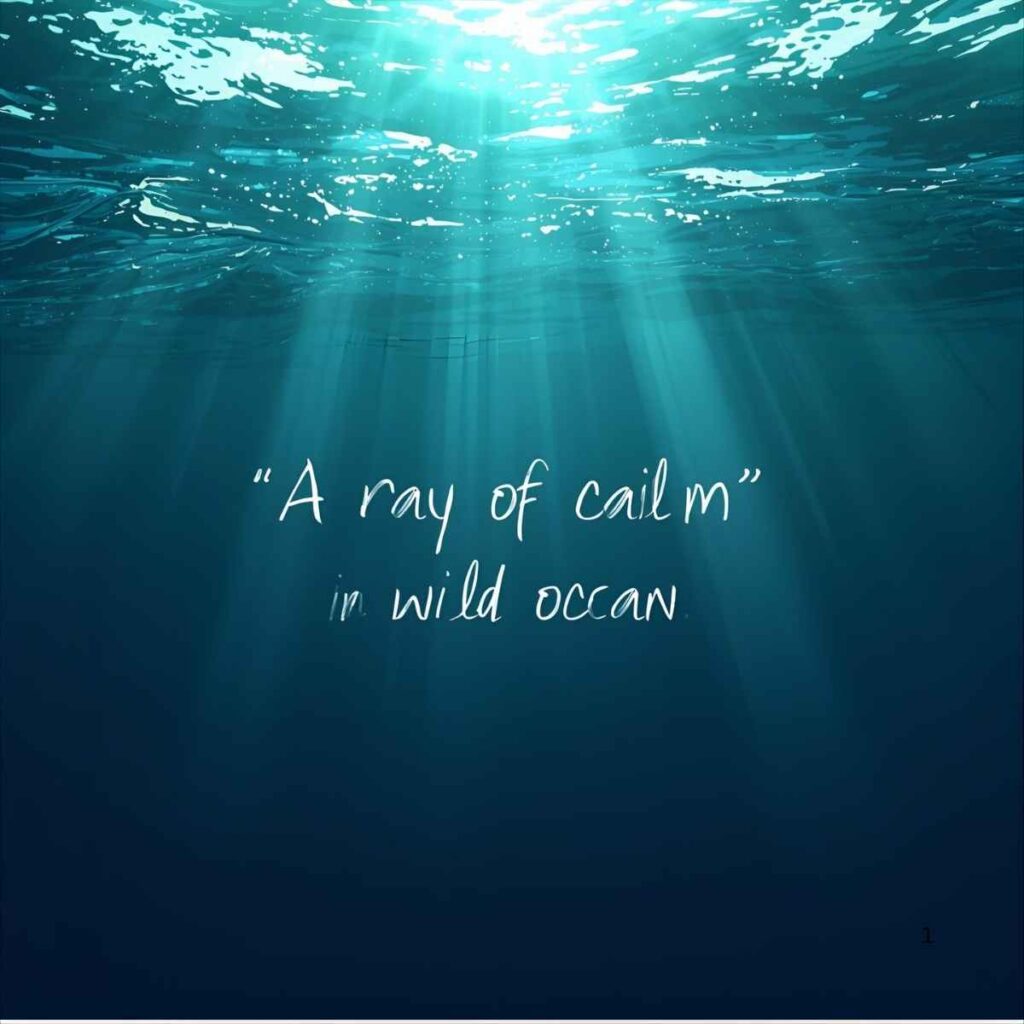 ray-puns