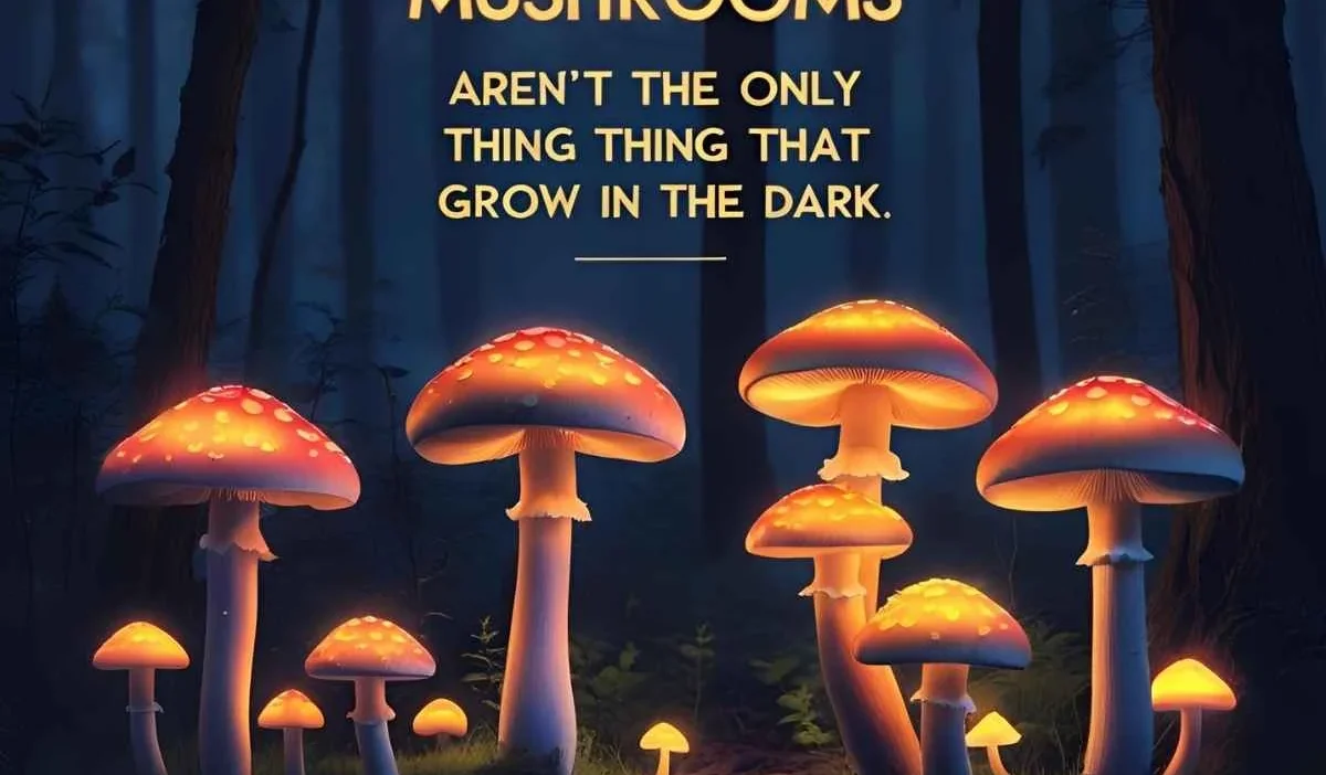 200 mushroom-puns
