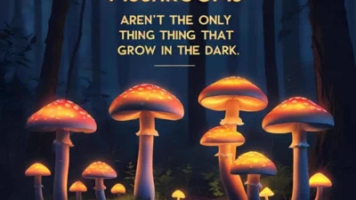 200 mushroom-puns