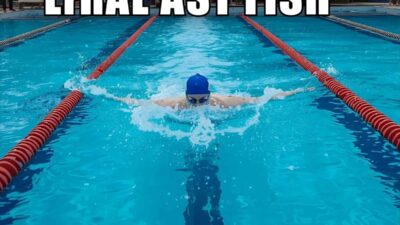 Swimmer Puns