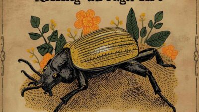 Beetle Puns